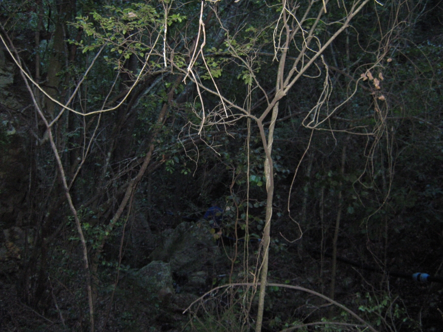 3 Bedroom Property for Sale in Joubertina Eastern Cape